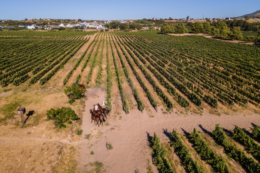 0 Bedroom Property for Sale in Val De Vie Estate Western Cape